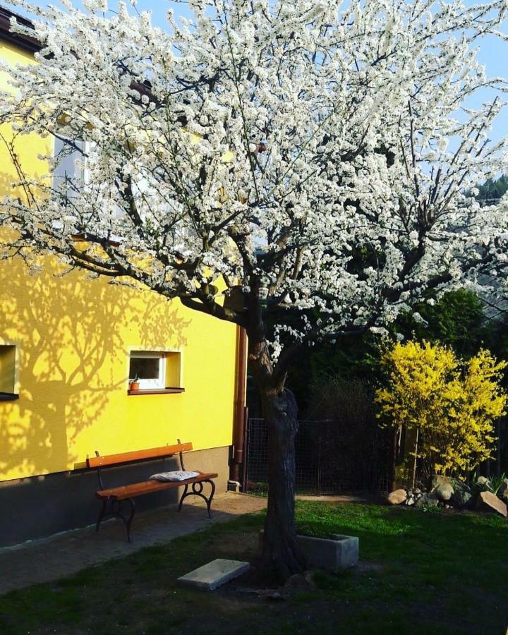 Apartman Novakovi Náchod Екстериор снимка